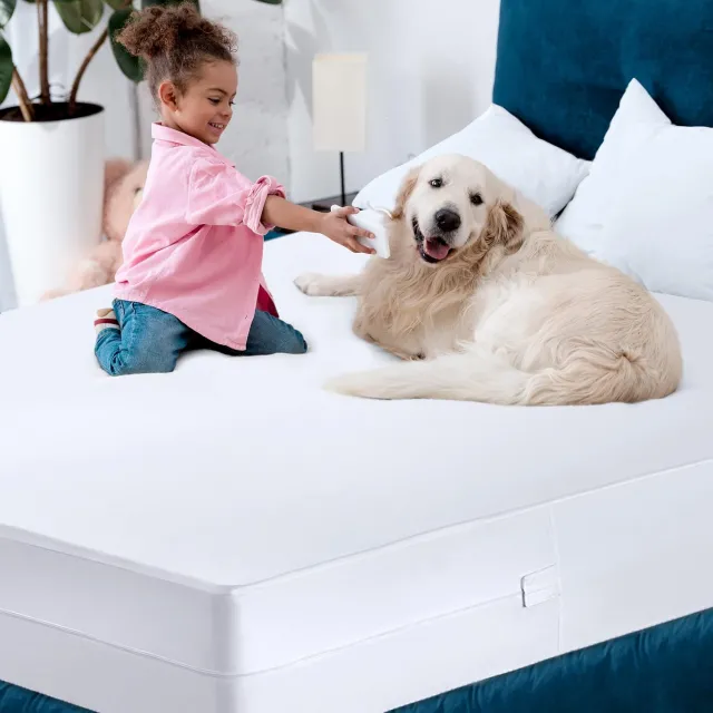 Zippered Mattress Encasement Queen - 100% Waterproof and Bed Bug Proof Mattress Protector - Absorbent, Six-Sided Mattress Cover