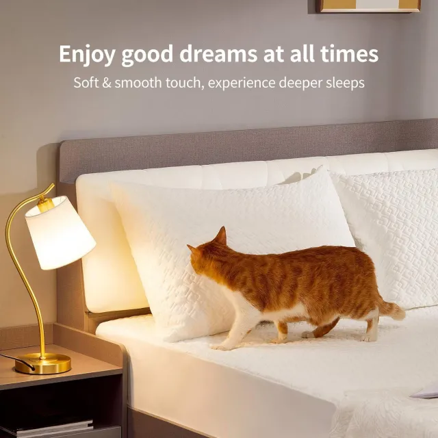 Waterproof Pillow Protector Zippered (2 Pack) Standard, Hypoallergenic Pillow Cover for a Better Sleep, Premium Pillowcase Encasement