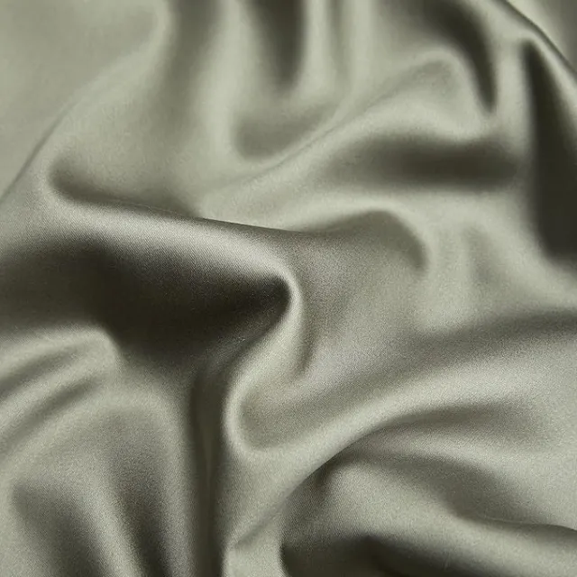 3 Pieces Luxury Reversible Duvet Cover Set 800TC 100% Pima Cotton YKK Hidden Zipper Closure (Modilan Green&Champagne, Queen for 3PCS Duvet Cover Set)